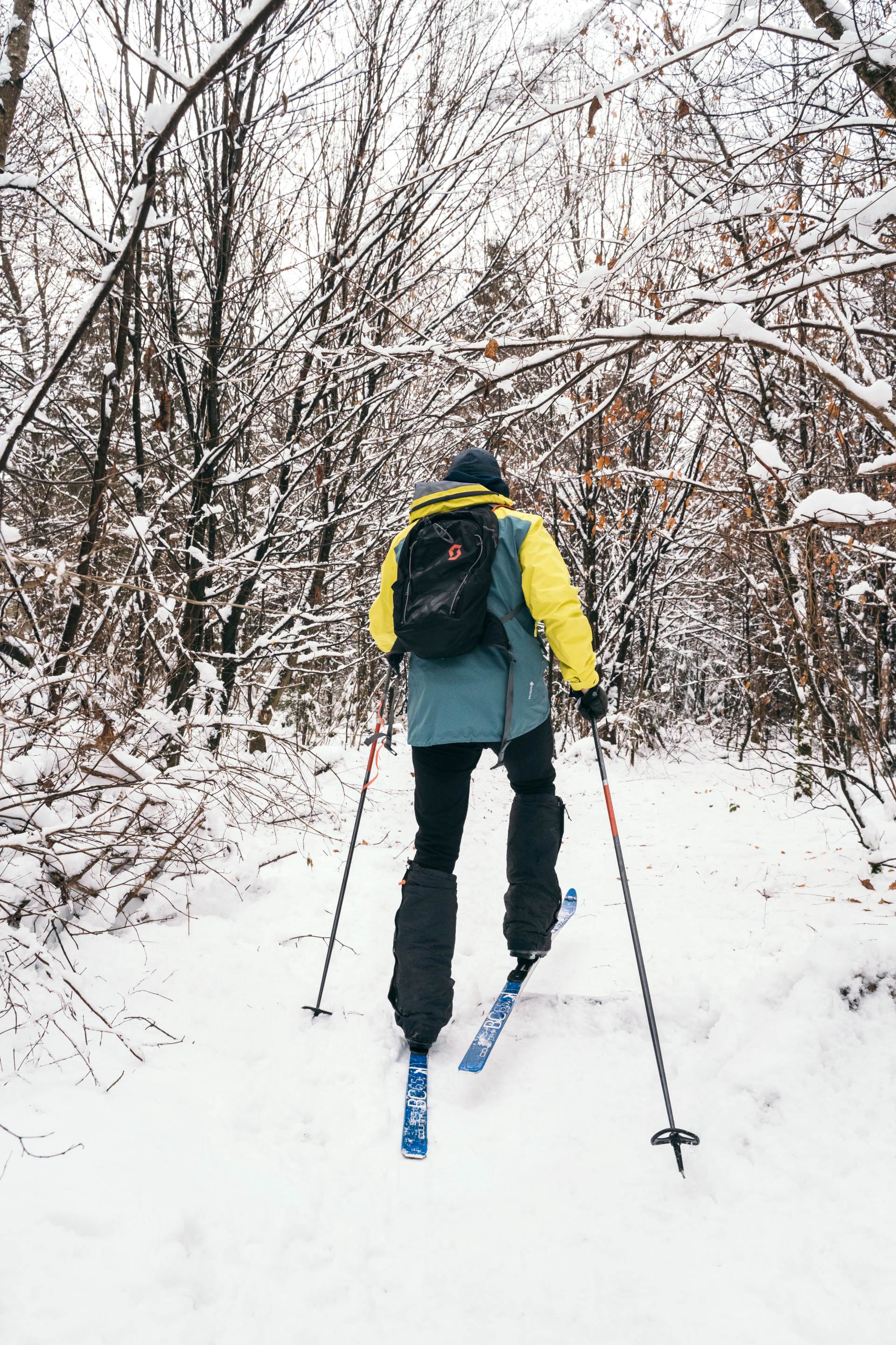 Sebastian Copeland op zijn rug gezien op ski’s in een besneeuwd bos.