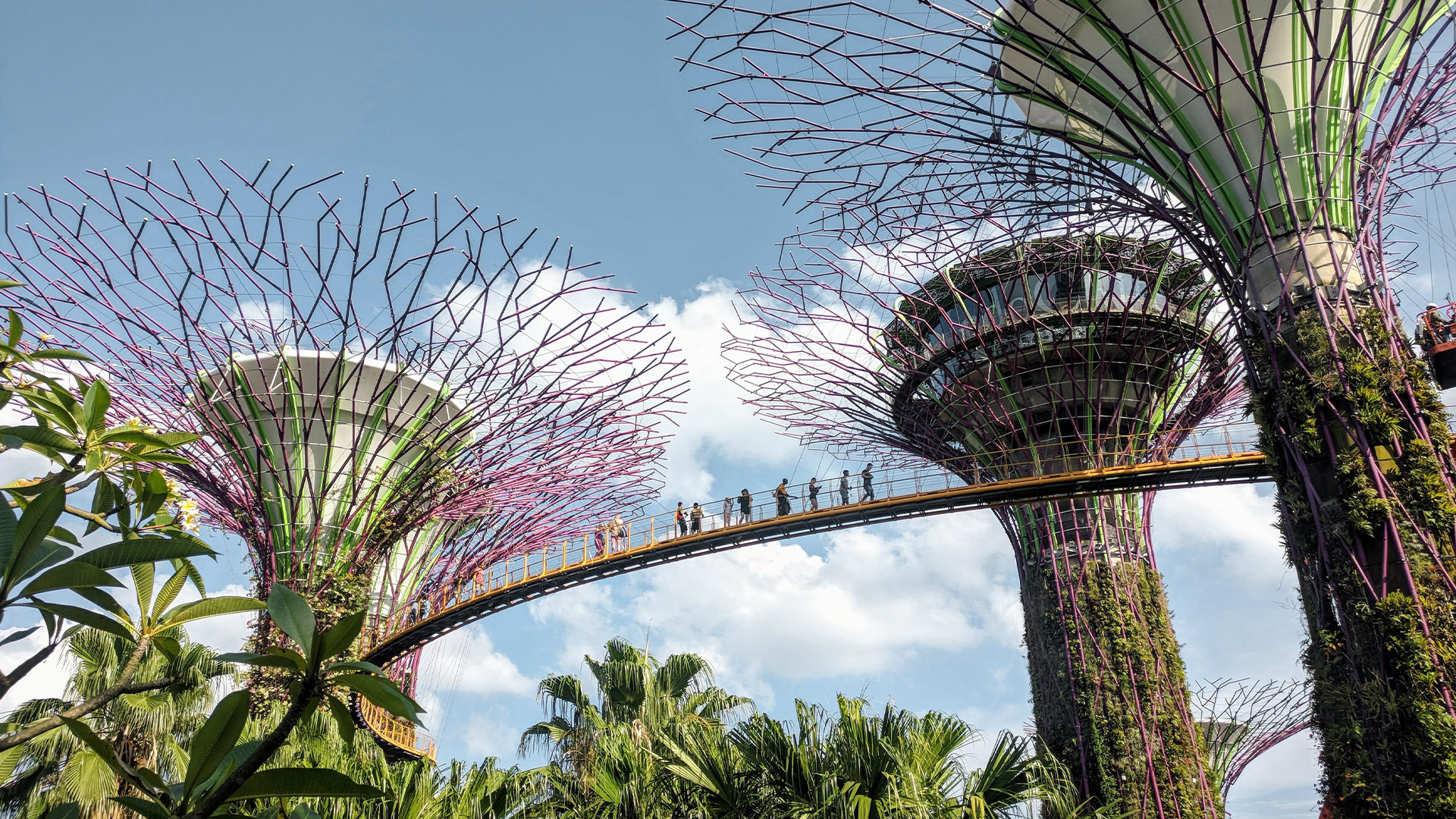 De OCBC Skyway in Gardens by the Bay in Singapore.